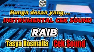 INSTRUMENT DANGDUT KOPLO COCOK UNTUK CEK SOUND HAJATAN 2024 !!!