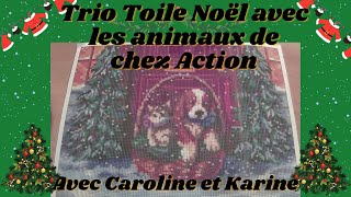 Trio toile de Noël animaux de chez Action #diamondpainting #loisirscreatifs #arttherapy