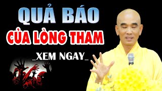 Quả Báo Của Lòng Tham Nguy hiểm Khôn Lường - Cực hay | Thầy Thích Tuệ Hải