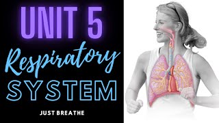 Respiratory System