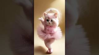 Cute Cat dance Shake it up 😻 #taylorswift #cat #funny #catshorts #catlover #dance #trending