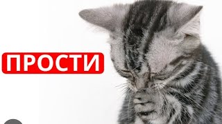 Вещие сны о любимых, которые ушли на тот свет