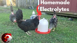 DIY Electrolytes for Chickens - How to Keep Your Birds Hydrated #raisingchickens  @Chickenchaos