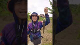 Kesting ikan gabus di spot  Cikarang