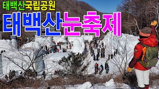 태백눈꽃축제, 웅장하고 멋진 눈조각품과 태백의 겨울을 만나보시죠, 태백산행, 얼음축제, 석탄박물관, 강원도 가볼만한곳 [대구여행나라]