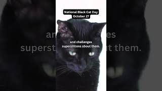 National Black Cat Day-October 27🐈‍⬛🤩👀#blackcat #october27 #daily