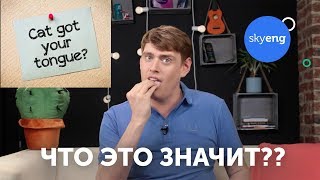 Английские идиомы VS русские пословицы || Skyeng