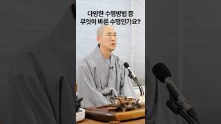 다양한 수행방법 중 무엇이 바른 수행인가요?