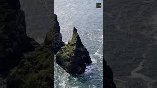 Discover the Untamed Beauty of Drangurinn Rock, Iceland's Coastal Guardian! #shorts  #travel