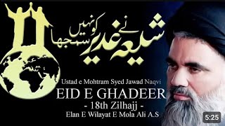 شیعہ نے غدیر کو نہیں سمجھا : سید جواد نقوی | Syed Jawad Naqvi about Ghadeer and Wilayat e Ali