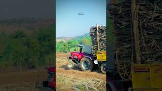 Mahindra Arjun 605 Di #video #youtube #youtubeshorts @nishu_deshwal @CHAITANYTRACTORVIDEO #subscribe