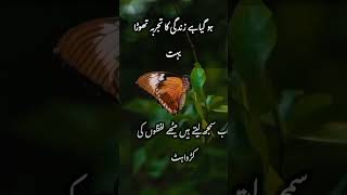 Urdu shayary | ھو گیا ہے زندگی کا تجربہ تھوڑا بہت