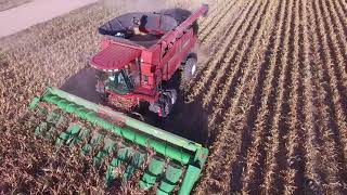 Bish SuperCrop® Header - Sorghum Harvest 2016 - Colorado  - (Video 1 of 2)