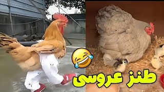 دوبله طنز عروسی 🤣 غیبت کردن بعد از خوردن شام عروسی