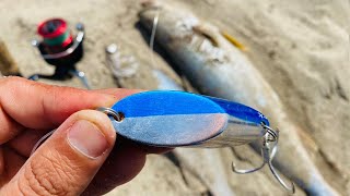 Pesca de PLAYA con CUCHARA🔥señuelo EFECTIVO!! Curvinas🐟