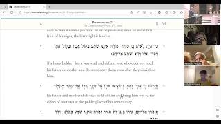 Ki Tetzei - Law, Order and Human Dignity (Deut. 21:10-25:19)