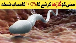 Mani Ko Garha Karne Ka Tarika/Nuskha | Patli Mani Ka ilaj | sperm barhany ka tarika