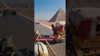 Enjoy this carriage ride #pyramidofgiza #shortvideo #horse #carriage #egypt #africa #traveltips