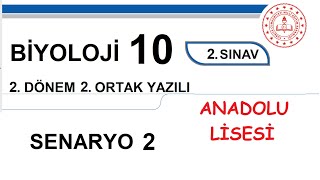 Biyoloji 10. Sınıf 2. Dönem 2. Yazılı MEB Senaryo 2 Soruları (açık uçlu / klasik) Anadolu Lisesi