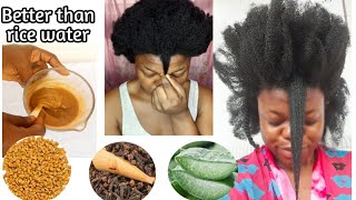 Cloves, Aloe vera &Fenugreek for HAIR GROWTH #4chair#simplychisom#naturalhair