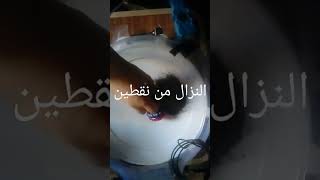 نزال بين 🆚 سيد الرهاب🔪😈 و امبرواطور الأمواج🌀🌀 نزال تحطيم داتي دامر بلبل امبرواطور الامواج 🔥🔥🔥🔥🔥🔥