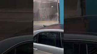 爆水管Water mains burst#洗車#shorts