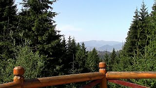 Закарпатье Яблонецкий перевал Yablunetsky mountain pass Carpathians отдых в карпатах