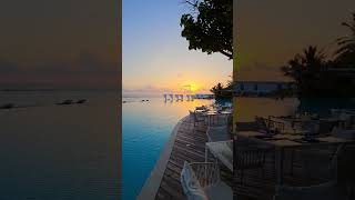 Sunset dinner in the Maldives 🤩🏝️ #luxurytravel #maldives #luxuryresorts #amillamaldives #shorts