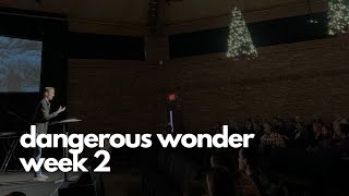 Dangerous Wonder week 2