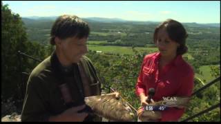 WCAX Hawk Migration Interview 9/17/12