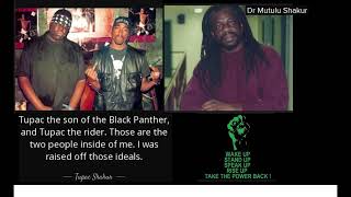 Tupac Revolution Military Minds feat. Busta