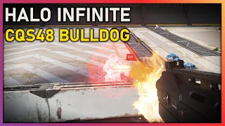 How useful is the BULLDOG at RANGE in Halo Infinite 🎯