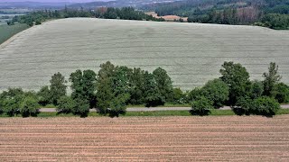 Demonstrace za rovné podmínky mezi většími a menšími farmáři | Rok zemědělce