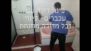 פינוי דירה עם עכברים - פינוי זבל מדירה מוזנחת