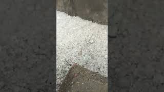 Hail Storm #satisfying #ytshorts