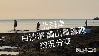 [北海岸釣點分享]  北海岸 白沙灣 麟山鼻藻礁  夏天 大臭肚 黑鯛 石斑   三芝在地人的釣魚秘境！！ 記得 訂閱 才能收到第一手釣況資訊 謝謝！！