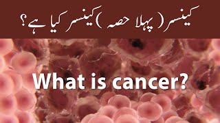 what is cancer? part 1