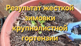 Итоги эксперимента!Кто выжил?