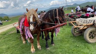 Stâna fereștenilor-Ferești, Maramures#2023