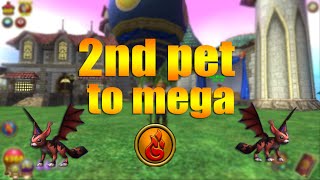 Wizard101 : Second pet to mega