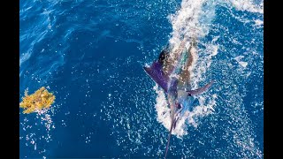 EPIC SAILFISH CHASE: Sailfish Challenge 2023