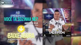 Anderson Silva - Você Ta Sozinha Né? [IN CASA] (Áudio Oficial)