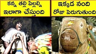 Interesting Facts|Unknown And Amazing Facts In Telugu|CTC FACTS | Telugu Facts