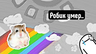 Робик скончался😔🐹\\утрата на канале\\ яХрумка