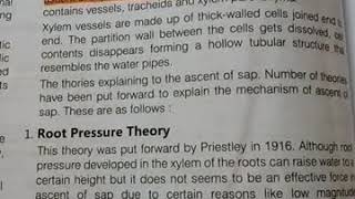 Ascent of sap,root pressure theory, cohesion tension theory,