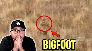 They Found Bigfoot..AGAIN!