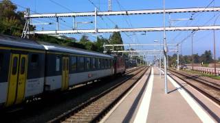 SBB RegioExpress à Creux-de-Genthod - 01/10/2011 Re 4/4" 11204