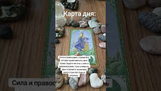 карта дня #таро #tarot