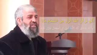 چنین است علم در وجود عالم آگاه، نه ملاهای احمقی که سال‌هاست مردم را فریب‌ دادند.