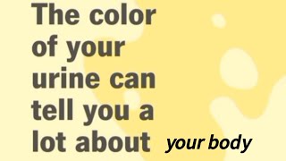 What urine colour indicate about your body